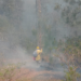Incendio en el Cañón del Novillo ya rebasa las 2 mil hectáreas