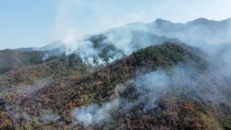 Incendio en el Cañón del Novillo liquidado al 80 por ciento
