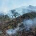 Incendio en el Cañón del Novillo liquidado al 80 por ciento