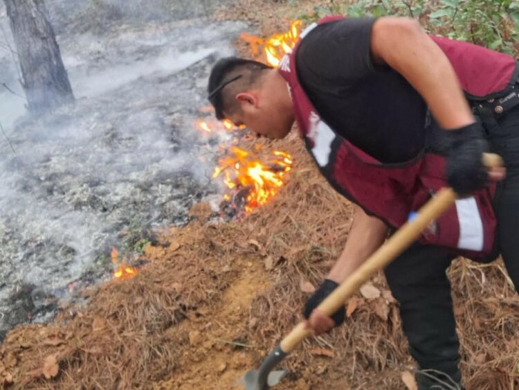 Más de 400 brigadistas combaten incendio forestal