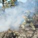 Van 260 hectáreas afectadas por incendios en Tula y Jaumave, Tamaulipas