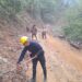 Reforestarán el cañón del Novillo