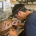 Desarrolla UAT bioinsecticida para combatir plagas que afectan la apicultura