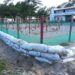 Refuerzan protección en campamentos tortugueros en Tamaulipas | Foto: cortesía