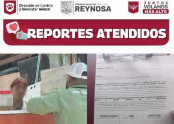 Sanciona Gobierno de Reynosa casos de maltrato animal