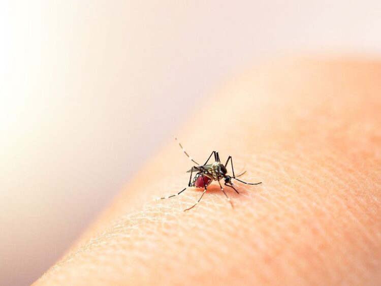Investigan la que podría ser la primera muerte por dengue en Tamaulipas