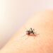 Investigan la que podría ser la primera muerte por dengue en Tamaulipas