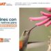 Enseñará la UAT a crear espacios ecológicos para especies polinizadoras