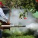 Destina Gobierno de Tamaulipas 50 MDP adicionales para el combate al dengue
