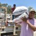 Entregan semilla de sorgo y maíz en Soto la Marina