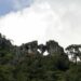 Fortalece Tamaulipas medidas para proteger reservas naturales