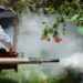 Más de 50 mdp se destinan al combate del dengue en Tamaulipas