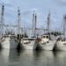 Tiene Tamaulipas la flota camaronera más grande del Golfo de México