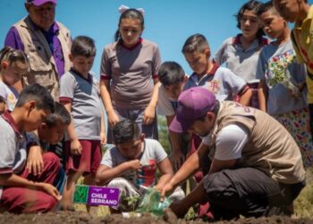 Habilitan Huertos Escolares en Tamaulipas