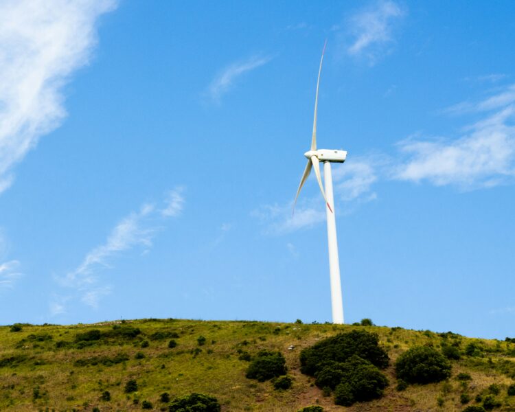 Sheinbaum dará continuidad a proyectos energéticos en Tamaulipas. Foto de Unsplash