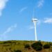 Sheinbaum dará continuidad a proyectos energéticos en Tamaulipas. Foto de Unsplash