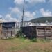 Lev M. Velázquez Barriga | Jardín de la Montaña necedad de tener escuela