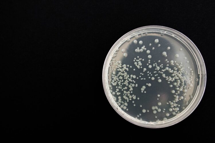 Aumenta a 17 el número de menores muertos por bacteria Klebsiella oxytoca. Foto de Pixabay