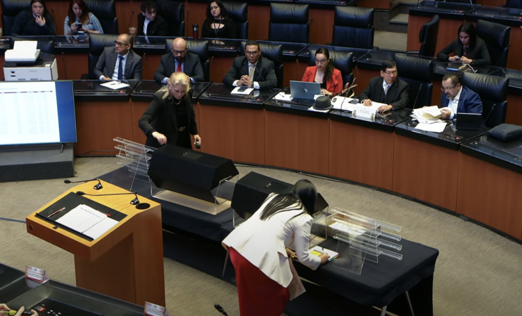 Comienza en el Senado insaculación de aspirantes a elección judicial. Foto tomada de video