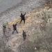Investigan presunto ataque armado contra Patrulla Fronteriza desde México. Foto de X Chris Olivarez