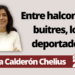 Leticia Calderon Chelius | Entre halcones y buitres, los deportados