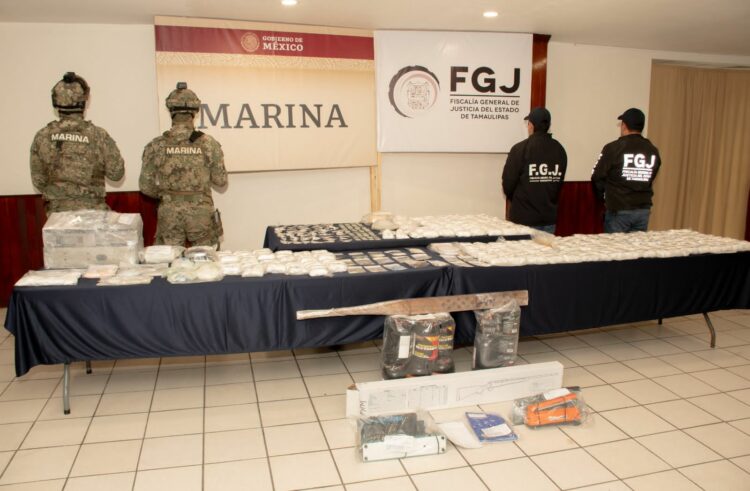 Decomisan en Altamira más de 22 mil dosis y más de 600 animales exóticos. Foto de FGJT
