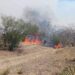Brindarán apoyos a productores afectados por incendios