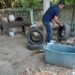 Exhorta Salud a la población a prevenir y combatir el dengue