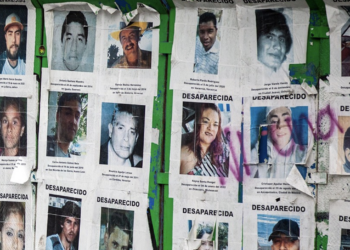 Sheinbaum presenta seis acciones para atender desaparición de personas en México. Foto de OHCHR