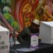 Electores visitan el simulador de votaciones del IETAM