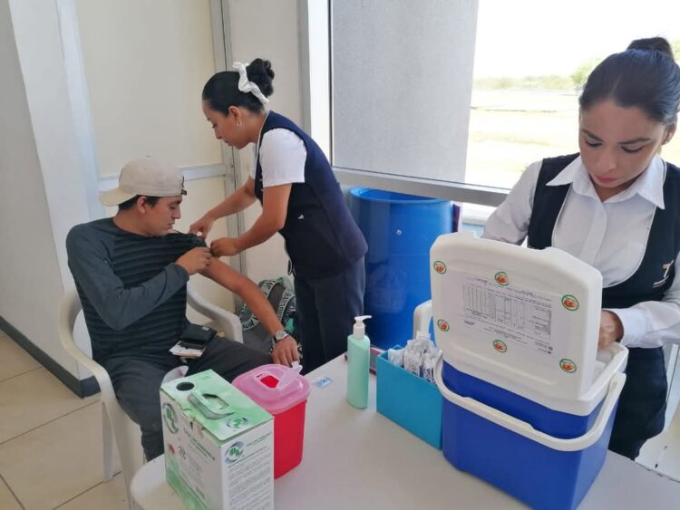 Vacunas en Tamaulipas | Foto: Secretaría de Salud
