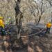 Implementan acciones ante incendios forestales en Tamaulipas | Foto : CONAFOR