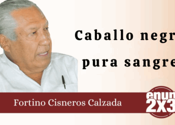Por Fortino Cisneros Calzada | Caballo negro pura sangre