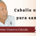 Por Fortino Cisneros Calzada | Caballo negro pura sangre