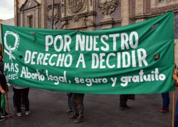 Discusión sobre aborto Foto IMER