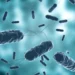 Descarta COEPRIS casos de cólera en Tamaulipas. Foto de web