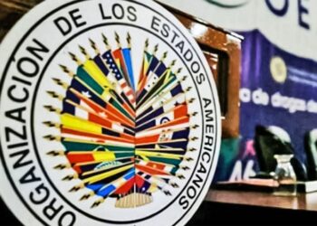 Organización de Estados Americanos (OEA)