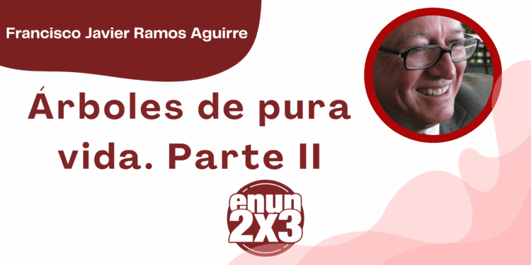Por Francisco Javier Ramos Aguirre | Árboles de pura vida. Parte II