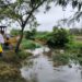 Existe alerta por riesgo de desbordamiento de ríos Pánuco y Guayalejo en el sur de Tamaulipas. Foto de Gobierno de Ciudad Madero