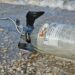 Basura espacial en Playa Bagdad. Foto de X