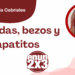 Por Libertad García Cabriales | De bodas, bezos y zapatitos