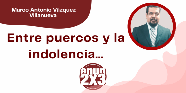 Por Marco Antonio Vázquez Villanueva | Entre puercos y la indolencia…