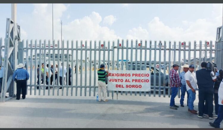 Reportan pérdidas de más de 500 mdp por bloqueos de sorgueros. Foto de Facebook