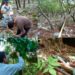 Busca la UAT conservar bosques de encino en Tamaulipas con tecnología geoespacial
