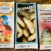 Piden vigilar heridas de mascotas domésticas por gusano barrenador. Foto de Tania Villanueva/EnUn2x3
