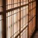 Confirman traslado de 26 personas vinculadas a organizaciones criminales a EE.UU. Foto de Unsplash
