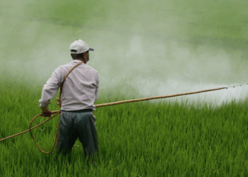 Foto: Agua.org.mx