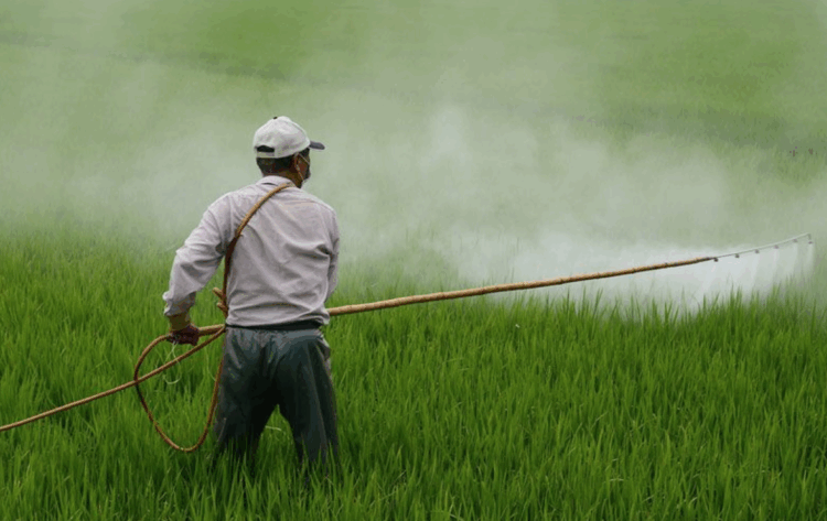 Foto: Agua.org.mx
