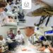 Colabora Facultad de Veterinaria de la UAT en acciones de prevención al gusano barrenador del ganado en Tamaulipas