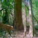 Promueve Gobierno de Tamaulipas programas de conservación de fauna